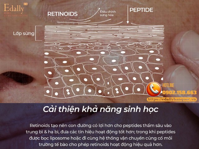Cặp đôi vàng Peptides + Retinoids giúp cải thiện khả năng sinh học của da
