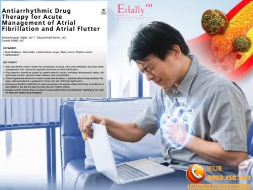 Thuốc Chống Loạn Nhịp Trong Xử Trí Cấp Rung Nhĩ Và Cuồng Nhĩ - Cập Nhật 2026