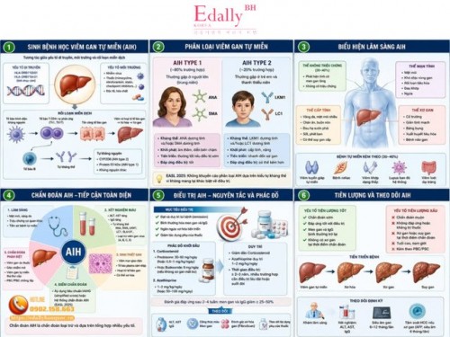 Cập Nhật Chẩn Đoán Và Điều Trị Viêm Gan Tự Miễn (Autoimmune Hepatitis - AIH) - Phần 2