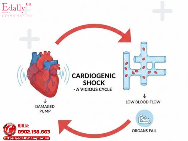 Cập nhật mới nhất về sốc tim - Bài trên The New England Journal of Medicine (NEJM), 26.12.2025