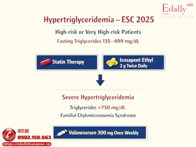 Cập nhật xử trí tăng triglyceride - tiếp cận theo ESC 2025