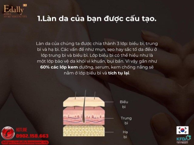 Cấu tạo của làn da