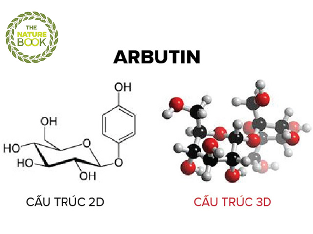 Cấu trúc của Arbutin