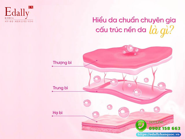 Tìm hiểu về cấu trúc của da người