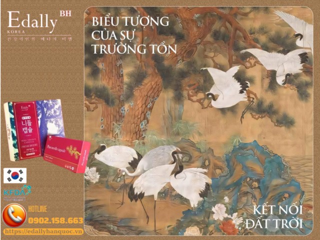Cây thông đỏ - Biểu tượng của sự trường tồn và kết nối đất trời trong văn hóa của người Hàn Quốc