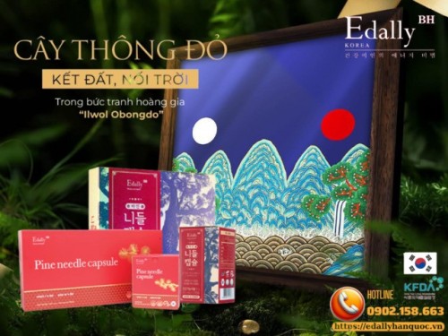 Cây Thông Đỏ Hàn Quốc - Kết Đất, Nối Trời Trong Bức Tranh Hoàng Gia Ilwol Obongdo