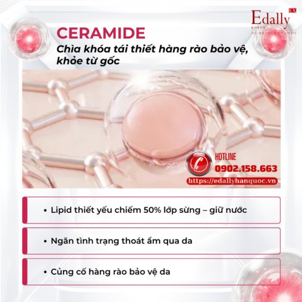 Ceramide - Chìa khóa vàng tái thiết hàng rào bảo vệ da