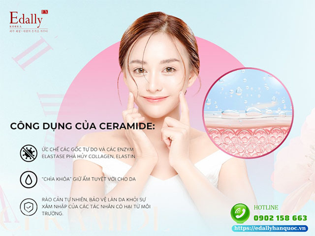 Ceramide có tác dụng gì với làn da?