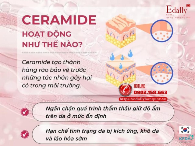 Ceramide hoạt động như thế nào?