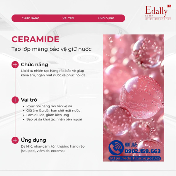 Ceramide - Lá chắn bảo vệ da