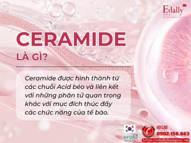 Ceramide là gì?