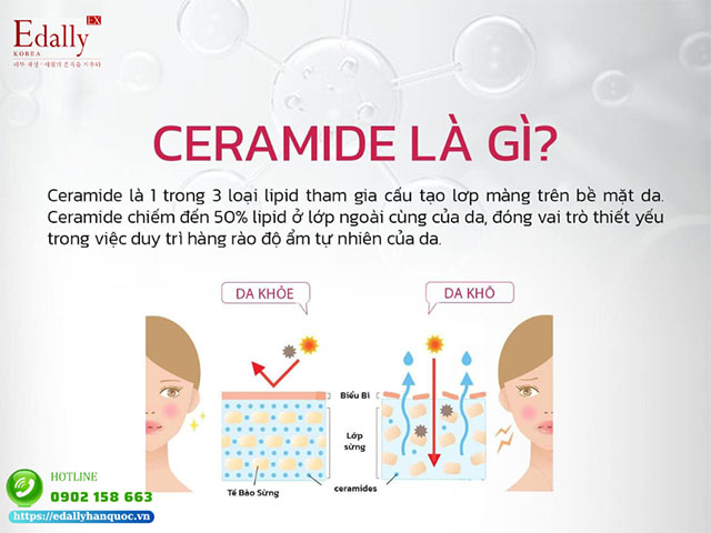 Ceramide - siêu chiến binh cho làn da