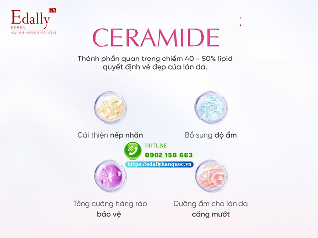 Ceramide quan trọng thế nào cho làn da?