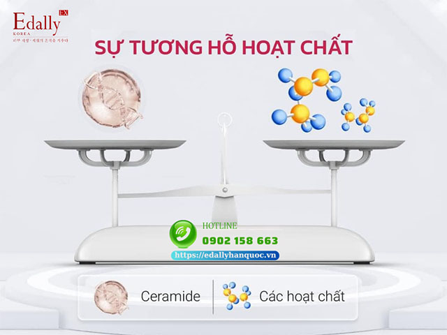 Ceramide và khả năng hỗ trợ hoạt chất