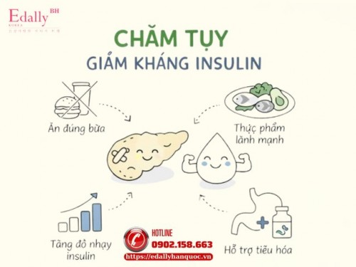 Chăm Tụy Là Bước Quan Trọng Giảm Kháng Insulin