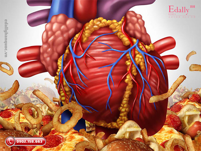 Chất béo bão hòa và chất béo chuyển hóa làm tăng nguy cơ gây bệnh tim mạch