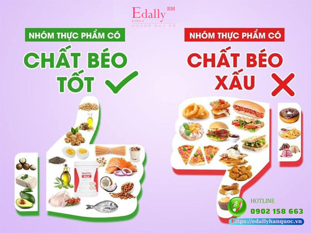 Chất béo và bữa ăn dinh dưỡng khoa học để ngăn ngừa bệnh tật