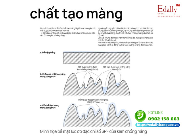 Chất tạo màng lọc chống nắng trong kem chống nắng