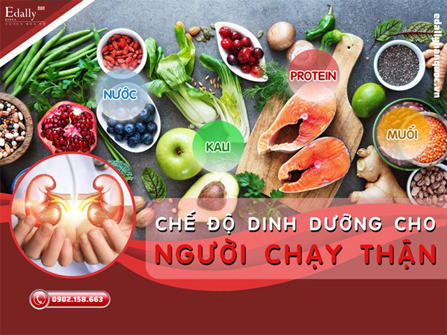 Chế độ dinh dưỡng cho người bệnh suy thận mạn tính có lọc máu ngoài thận chu kỳ