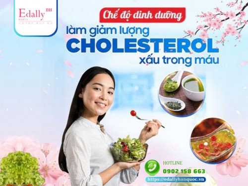 Chế Độ Dinh Dưỡng Làm Giảm Lượng Cholesterol Xấu Trong Máu