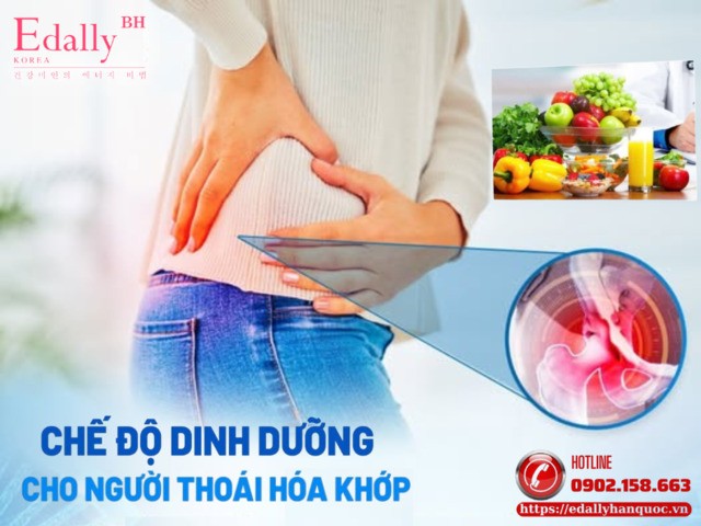 Chế Độ Dinh Dưỡng Trong Bệnh Lý Thoái Hóa Khớp