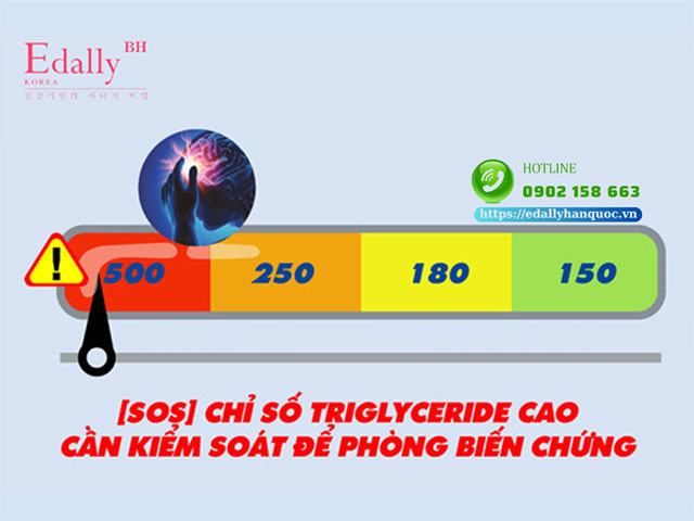 Chỉ số triglyceride trong máu cần phải được kiểm soát để không gây biến chứng viêm tụy cấp và tim mạch