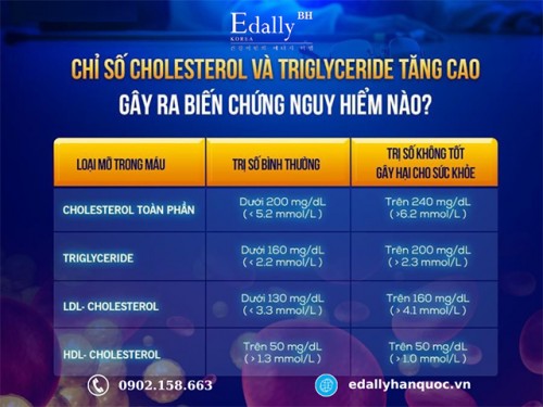 Chỉ Số Cholesterol Và Triglyceride Tăng Cao Gây Ra Biến Chứng Nguy Hiểm Nào?