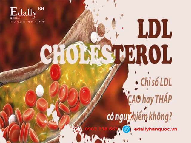 Chỉ số mỡ máu LDL cholesterol trong máu cao có nguy hiểm không?