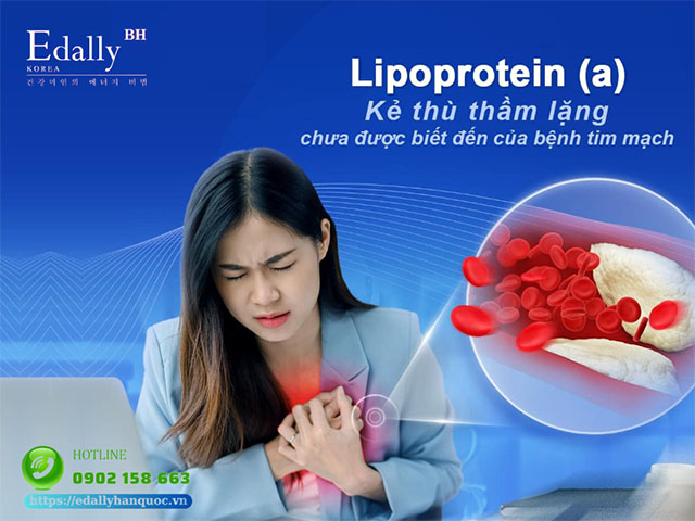 Chỉ số Lipoprotein (a) cao chính là kẻ thù thầm lặng chưa được biết đến của bệnh tim mạch