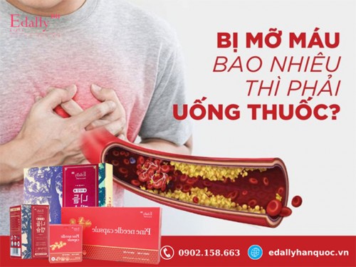 Chỉ Số Mỡ Máu Cao Bao Nhiêu Thì Phải Dùng Thuốc?