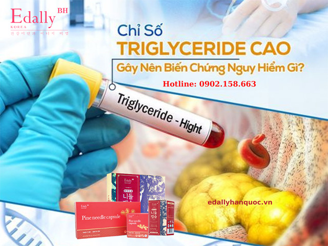 Các biến chứng nguy hiểm của chỉ số triglycerida cao là gì?