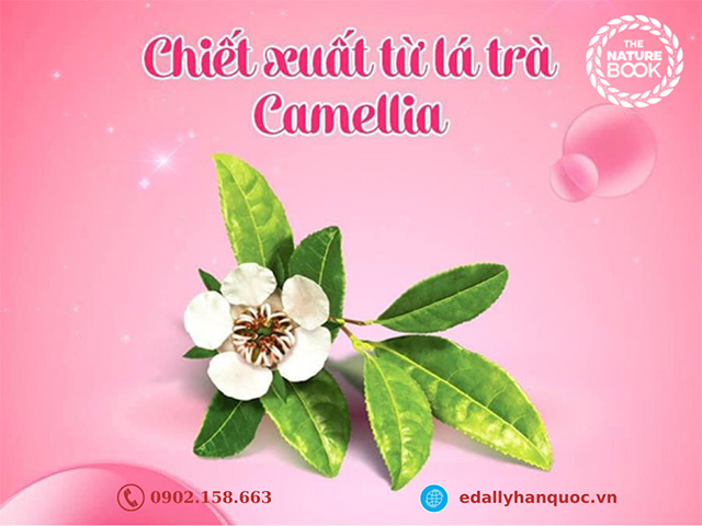 Nước Tẩy Trang Placenta The Nature Book Hàn Quốc với thành phần chiết xuất lá trà Camellia