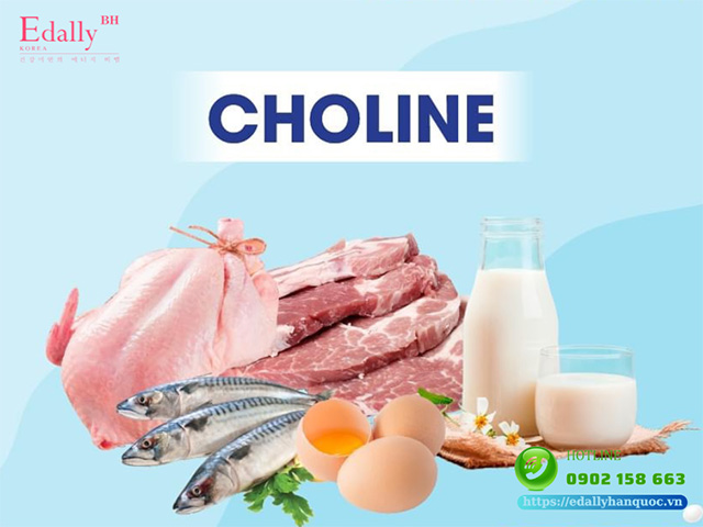 Thực phẩm giàu Choline là chất dinh dưỡng thiết yếu cho sức khỏe tuyến giáp phụ nữ