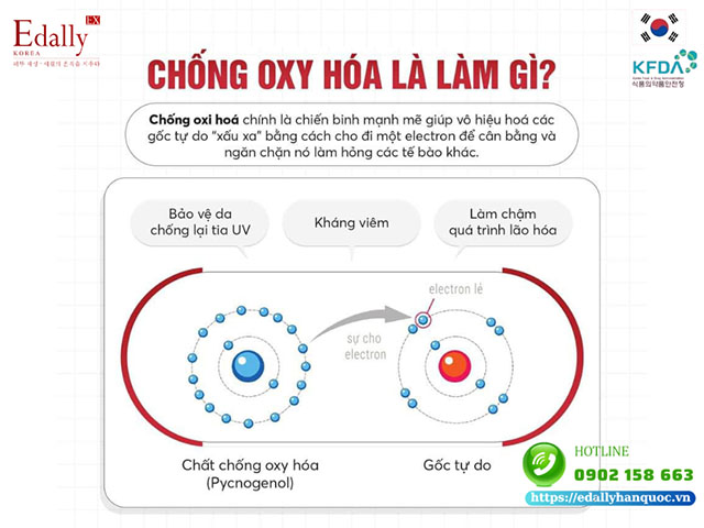 Chống oxy hóa là làm gì?