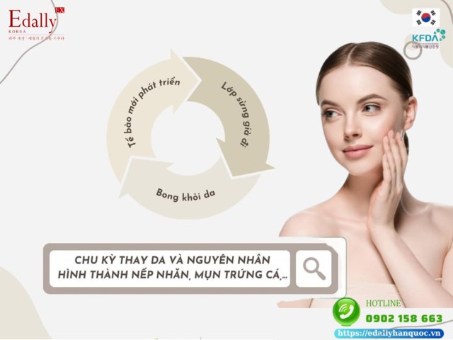 Chu kỳ thay da và nguyên nhân hình thành nếp nhăn, mụn trứng cá, nám da…