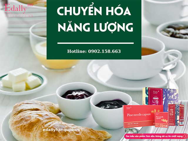 Chức năng của gan trong việc chuyển hóa năng lượng