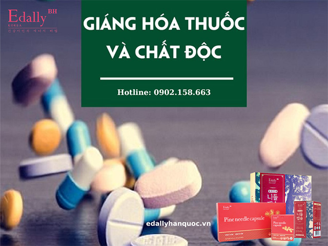 Chức năng của gan trong việc giáng hóa thuốc và chất độc