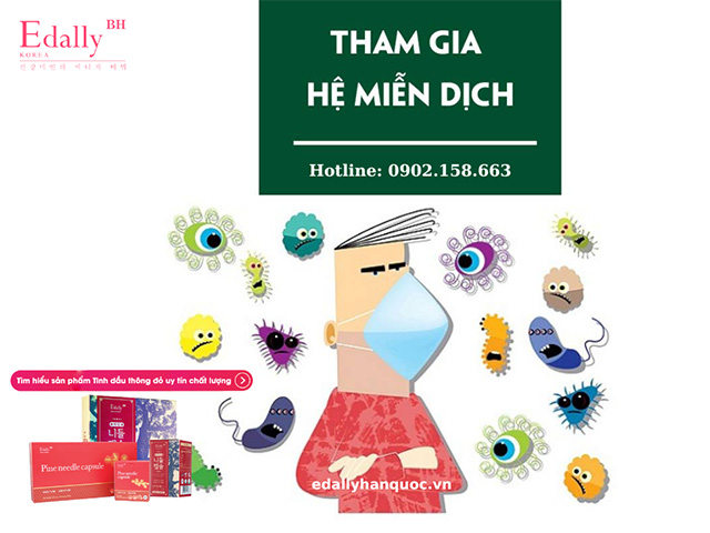 Chức năng của gan đối với hệ miễn dịch