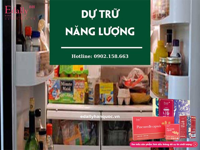 Chức năng của gan trong việc dự trữ năng lượng