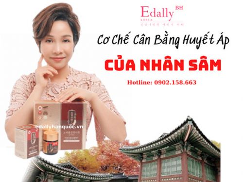 Cơ Chế Cân bằng Huyết Áp Của Nhân Sâm Hàn Quốc