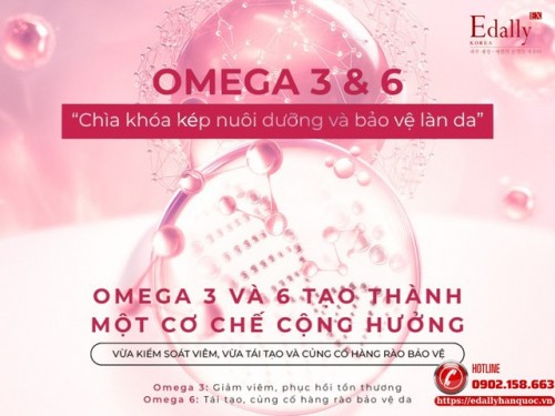 Cơ Chế Của Omega 3 Và Omega 6 Trong Chống Viêm Và Nuôi Dưỡng Da