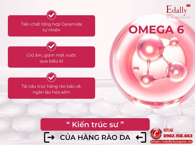 Cơ chế của Omega 6 trong chống viêm và nuôi dưỡng da