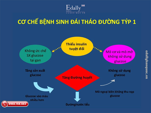 Cơ chế gây bệnh tiểu đường type 1 ở trẻ em