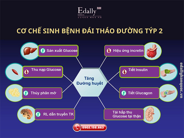 Cơ chế gây bệnh tiểu đường type 2 ở trẻ em