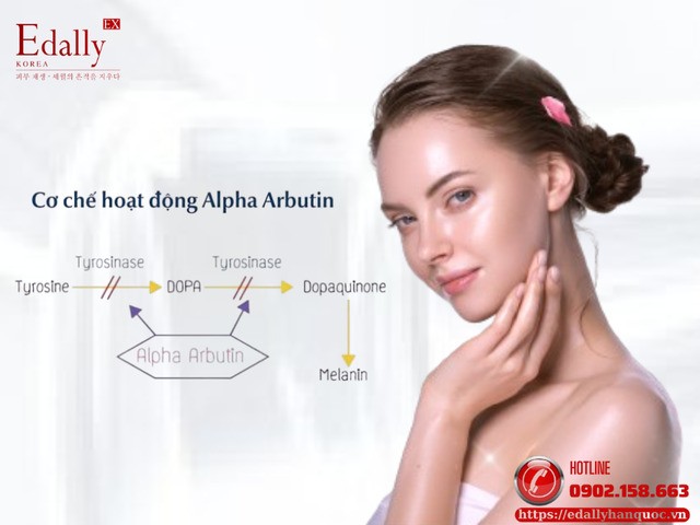 Cơ chế hoạt động của Alpha Arbutin
