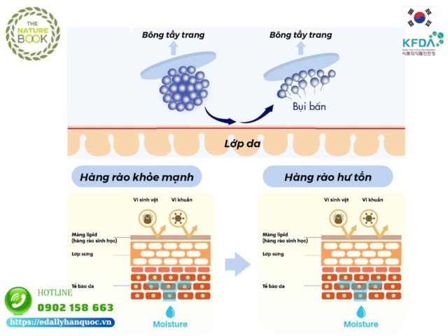 Công nghệ Micellar trong mỹ phẩm hoạt động theo cơ chế nào?