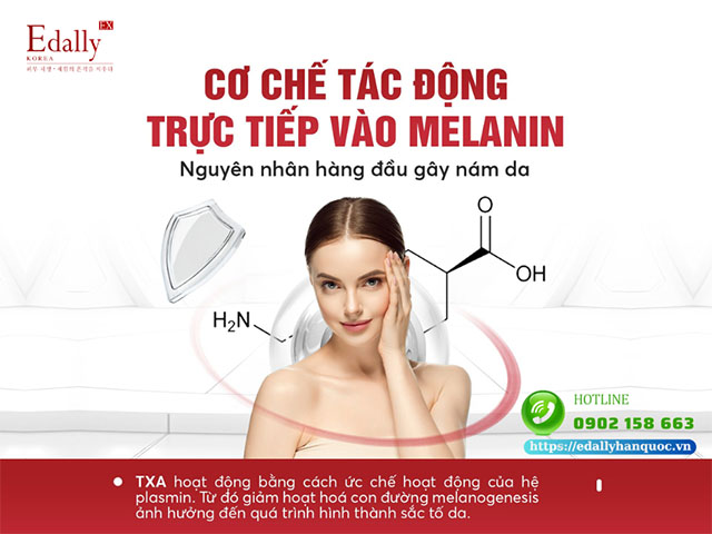 Cơ chế hoạt động của Tranexamic Acid trong điều trị nám da và sắc tố da