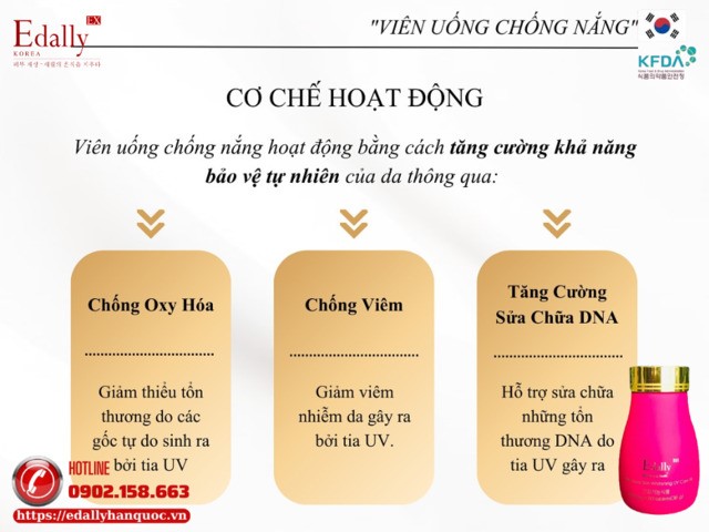 Cơ chế hoạt động của viên uống chống nắng như thế nào?