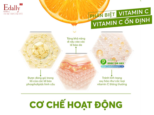 Cơ chế hoạt động của vitamin C ổn định