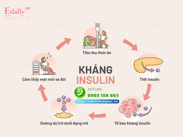 Cơ chế kháng insulin